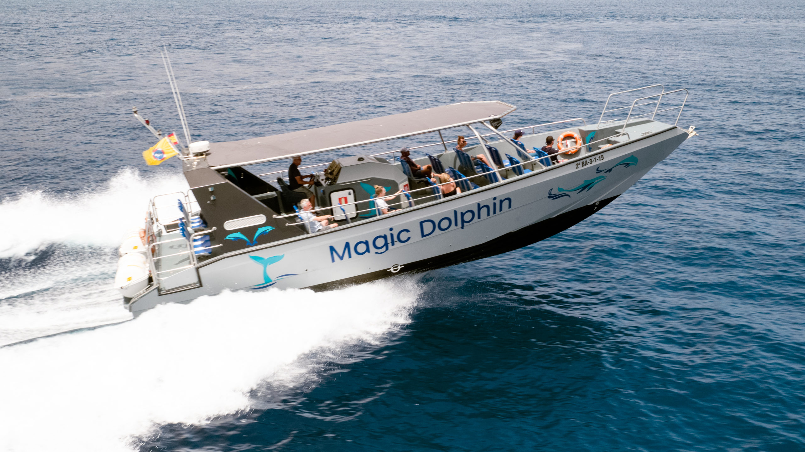 magic dolphin tour